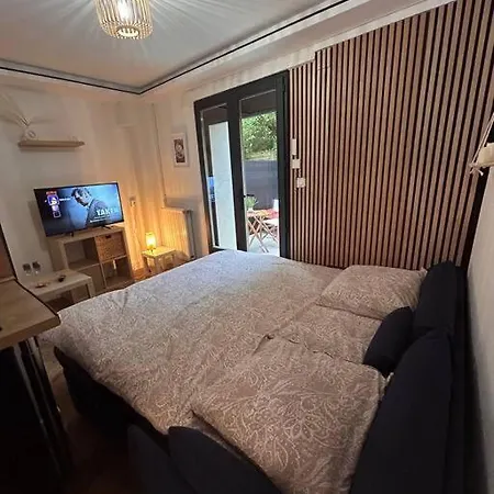 Апартаменты Petit Et Son Abrite Нанси