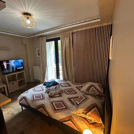 Petit Et Son Abrite Appartement Nancy