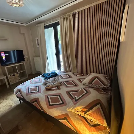 Petit Et Son Abrite Appartement Nancy