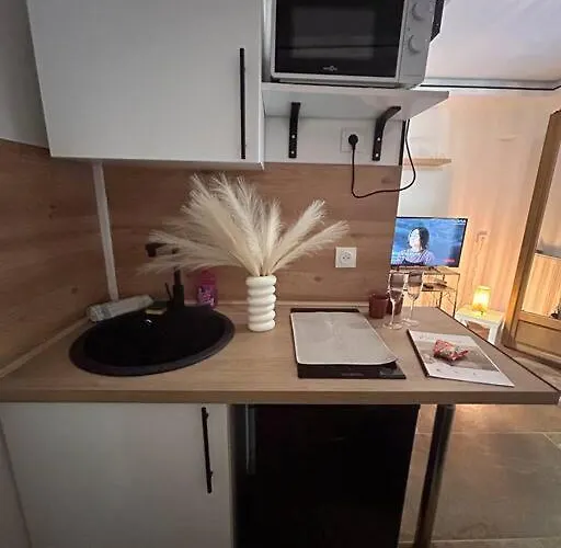 Apartment Petit Et Son Abrite