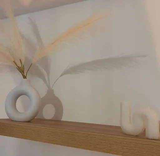 Petit Et Son Abrite * Nancy