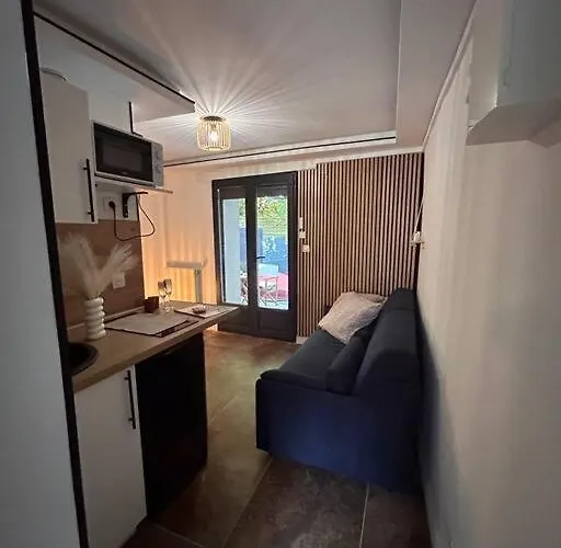 Petit Et Son Abrite Apartment Nancy