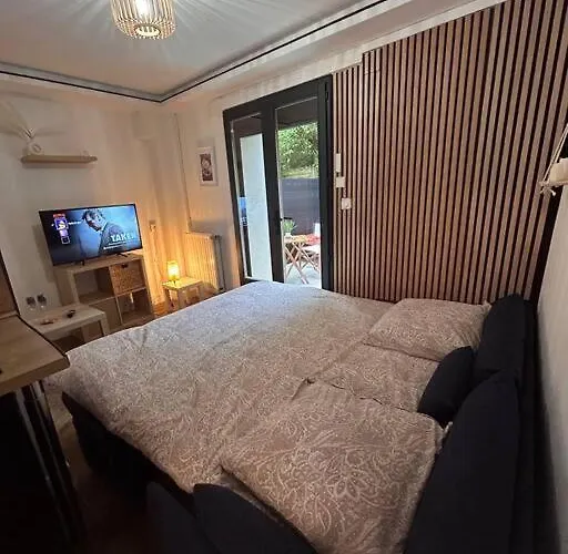 Apartment Petit Et Son Abrite Nancy