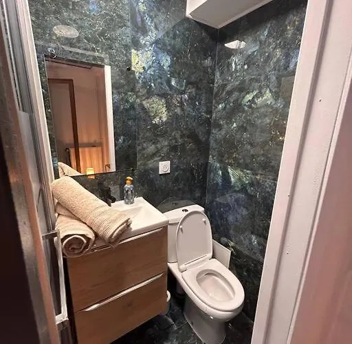 Petit Et Son Abrite Nancy